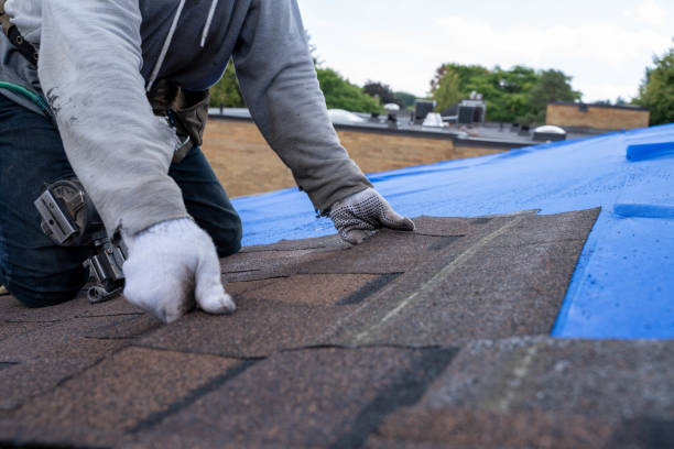 Best Roof Gutter Cleaning  in Minerva, OH